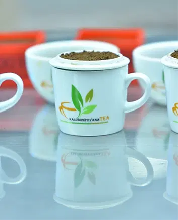 Tea Plantation