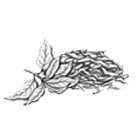 WITHERING