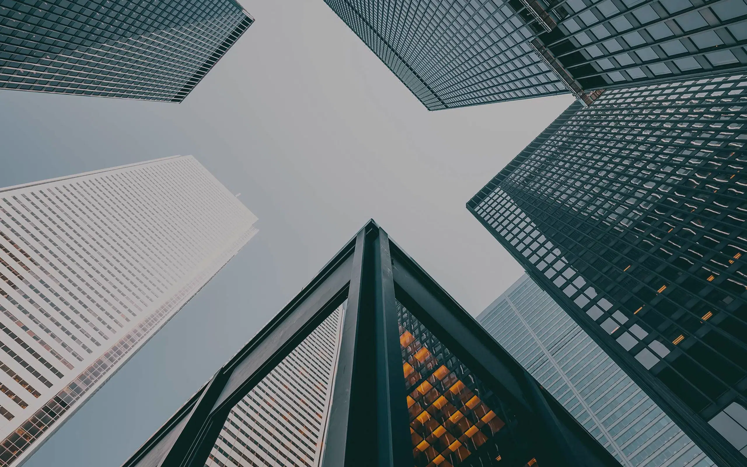 Corporate Profile