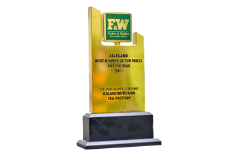 Award 6