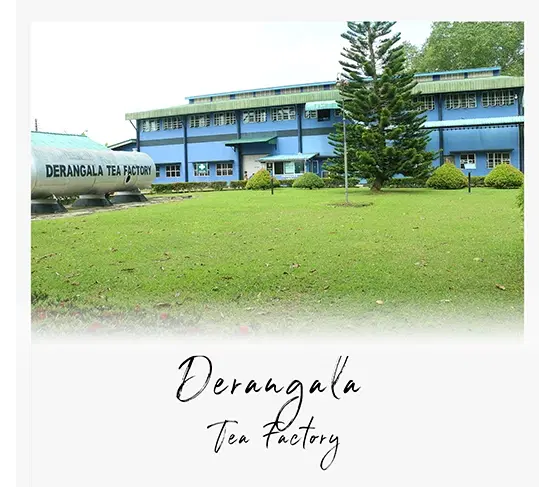 Derangala