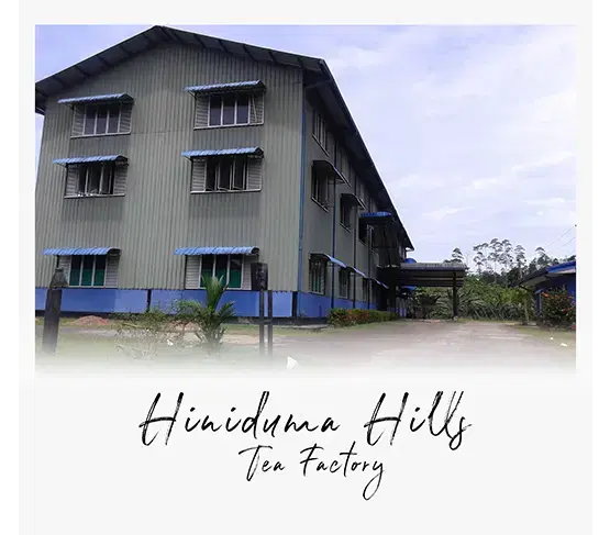 Hiniduma