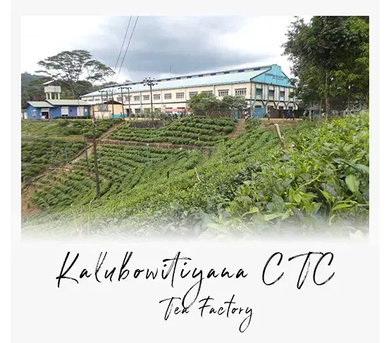 Kalubowitiyana